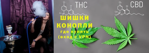 дмт Арсеньев