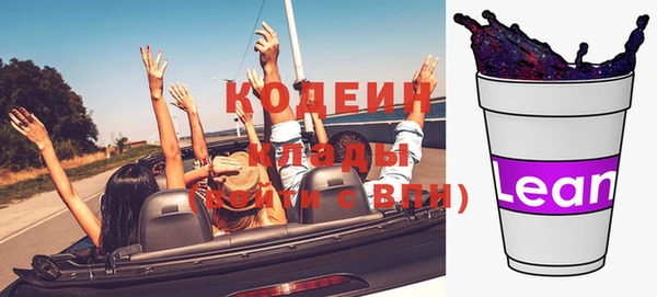 дмт Арсеньев